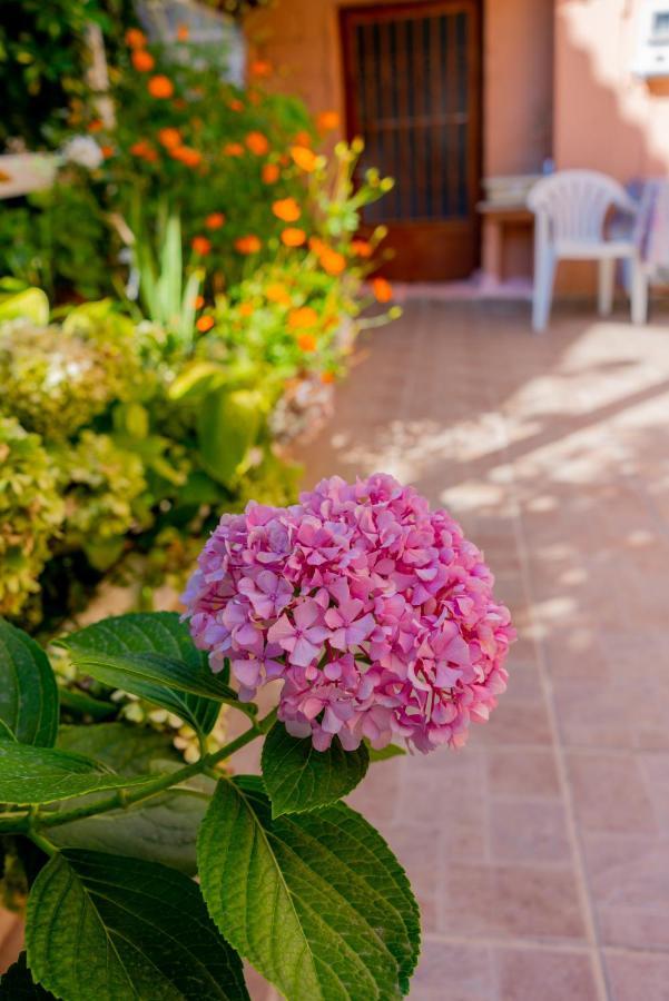 Valsamis Villa Apartments Poros  Екстериор снимка